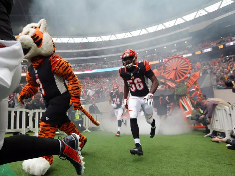 Cincinnati Bengals linebacker Karlos Dansby