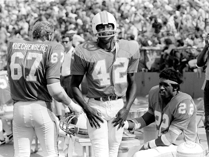 1971 Miami Dolphins