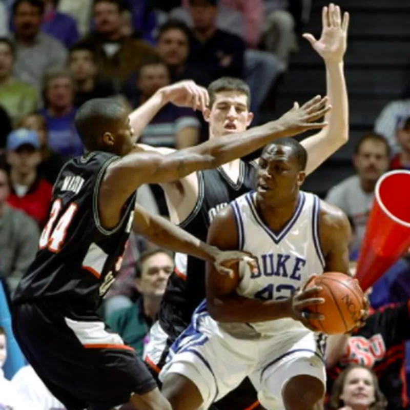 Elton Brand in action