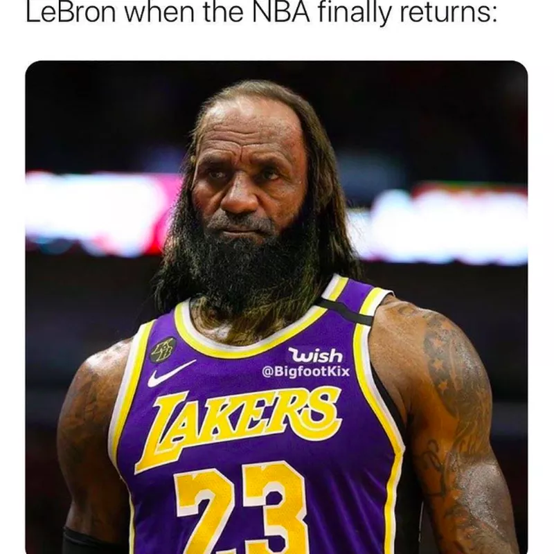 LeBron, Pandemic meme