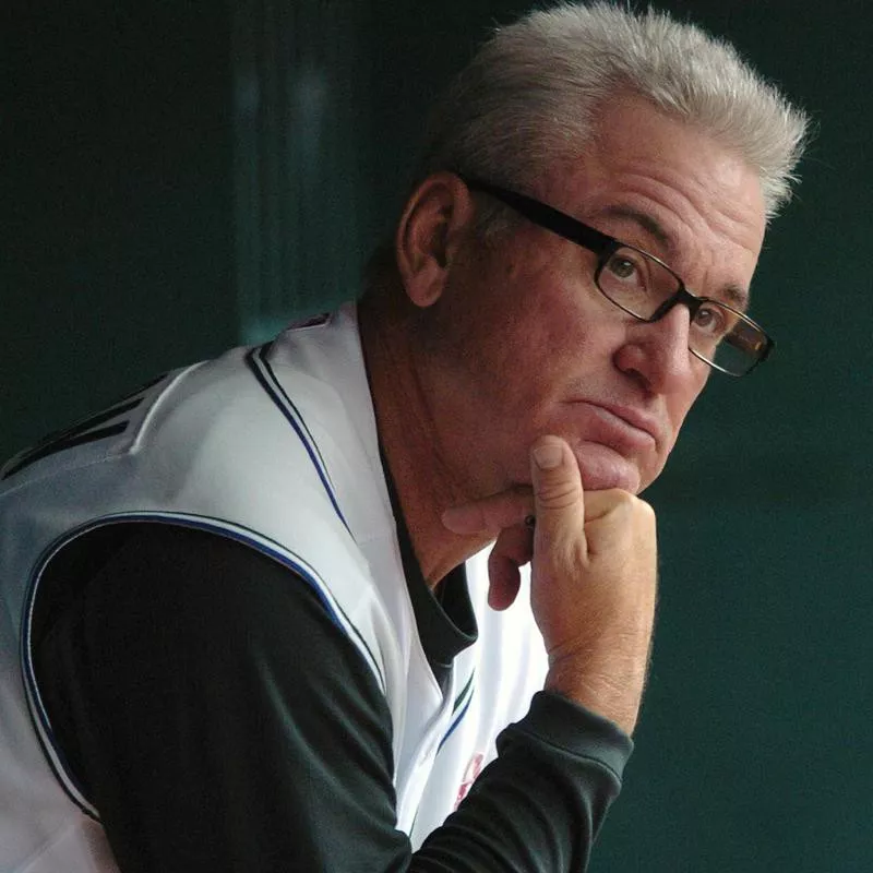 Joe Maddon looks out