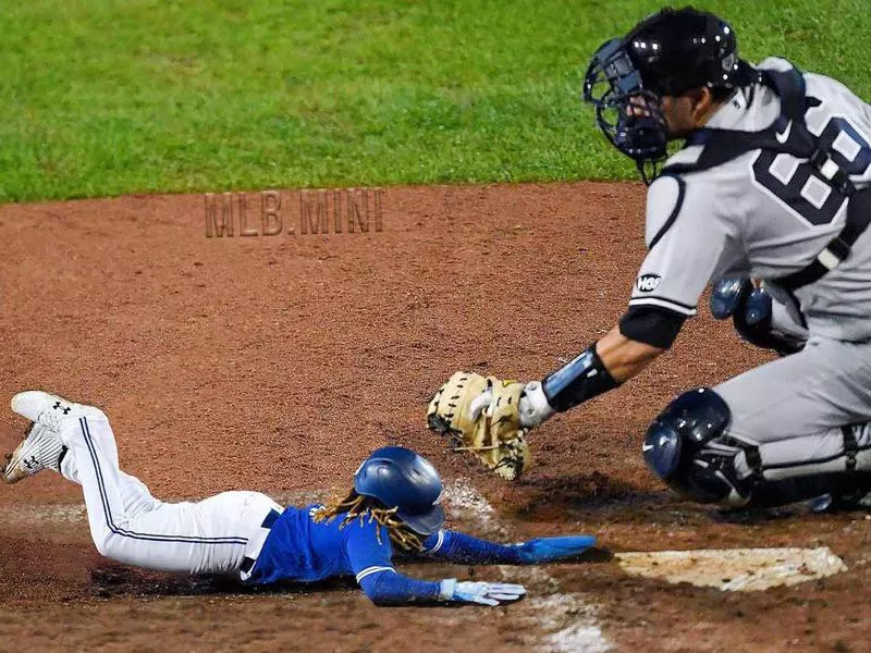 Vladimir Guerrero Jr.