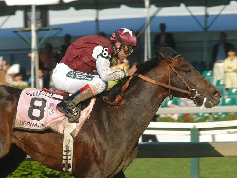 Bernardini ridden by jockey Javier Castellano