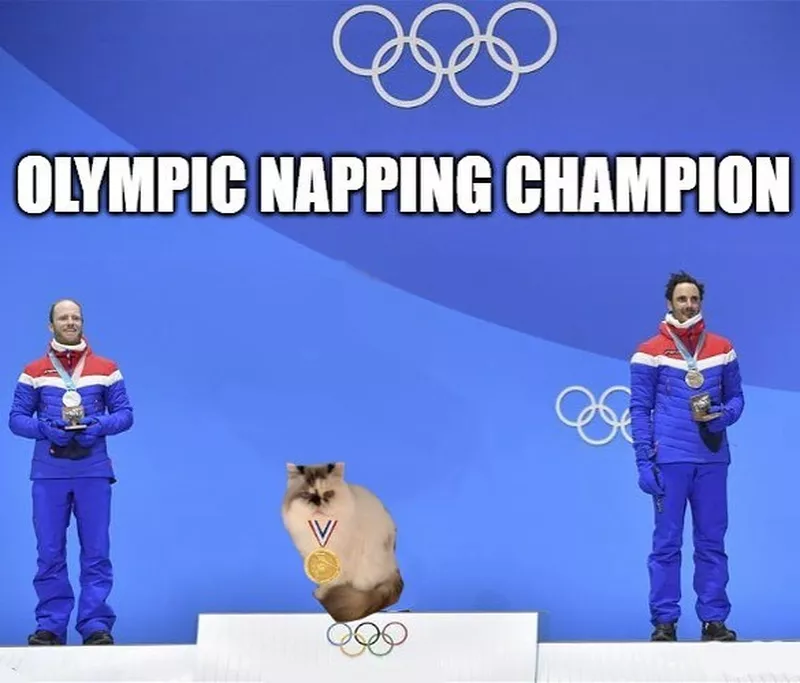 Olympic napping meme