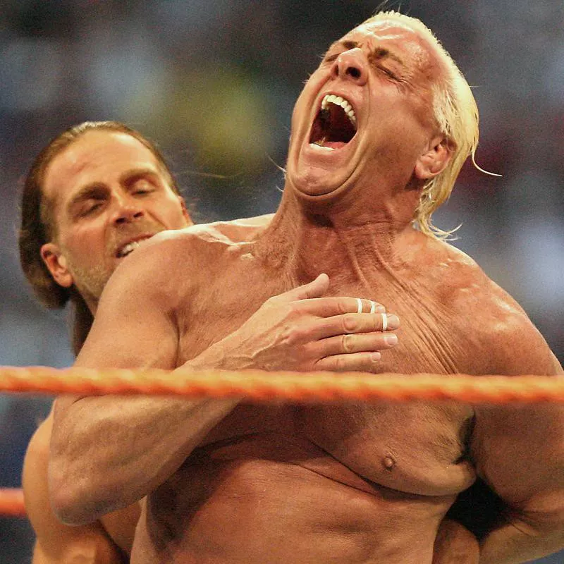 Ric Flair and Shawn Michaels at WrestleMania XXIV