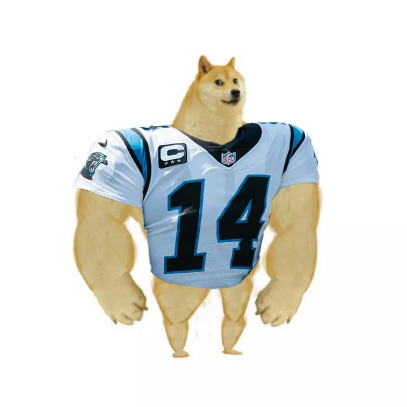 Sam Darnold Panthers doge meme