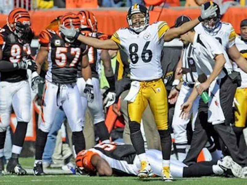 Pittsburgh Steelers wide receiver Hines Ward