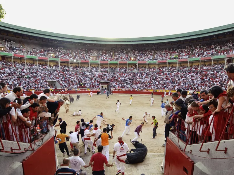 Revelers are chased by Nunez del Cubillo's ranch fighting bulls during the running of bulls