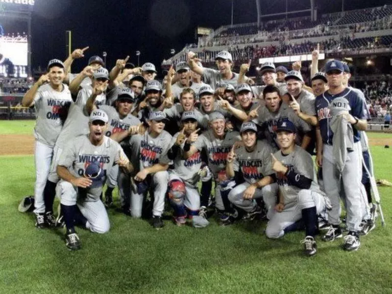 2012 Arizona Wildcats