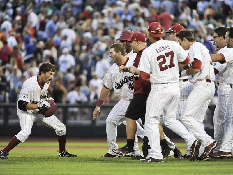 2011 South Carolina Gamecocks