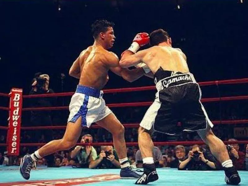 Gatti vs. Gamache