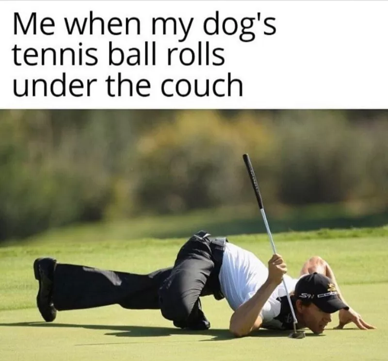 Golf meme