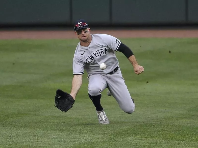 Brett Gardner