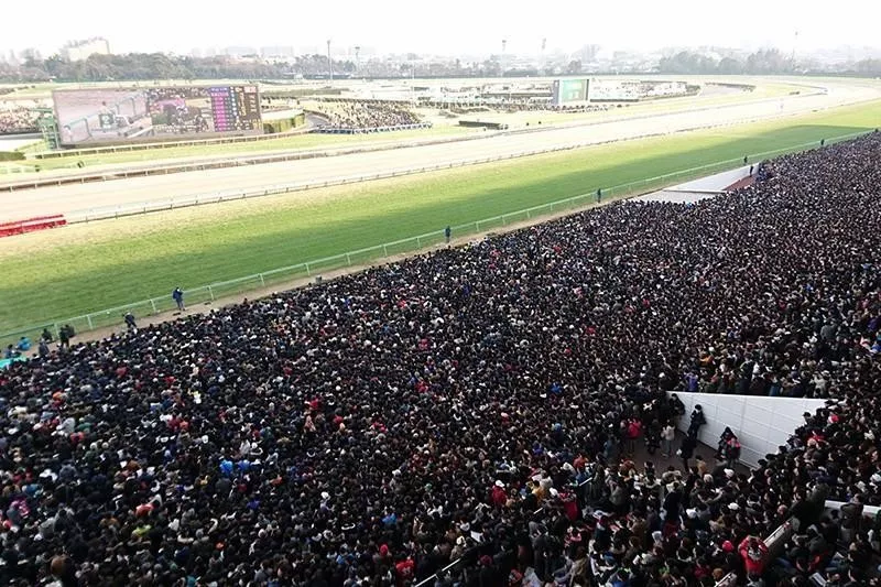 Nakayama Racecourse