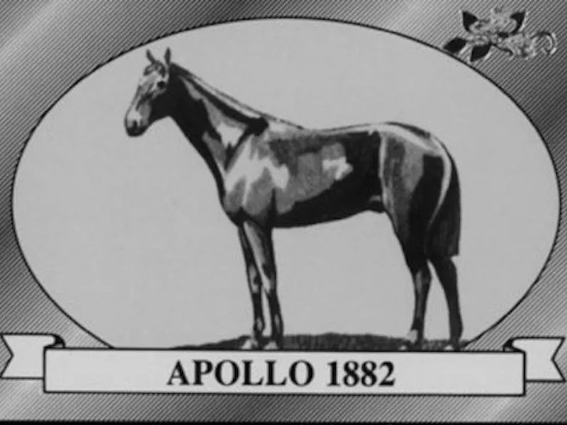 Apollo