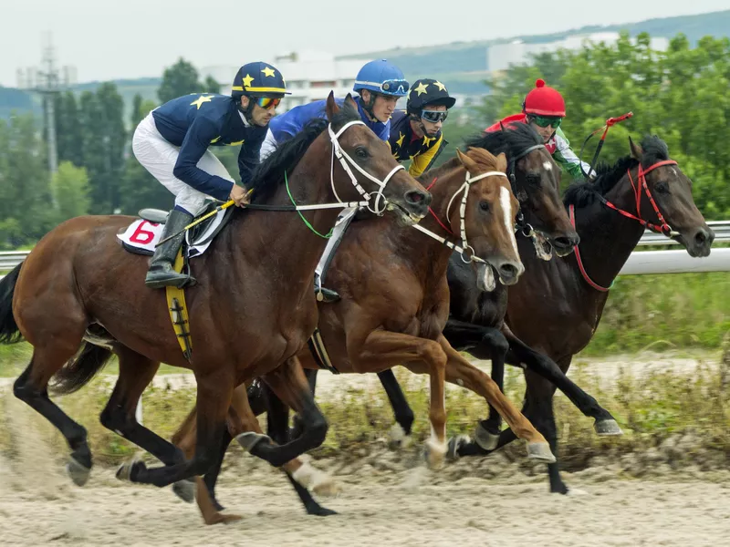 Horse racing in Pyatigorsk