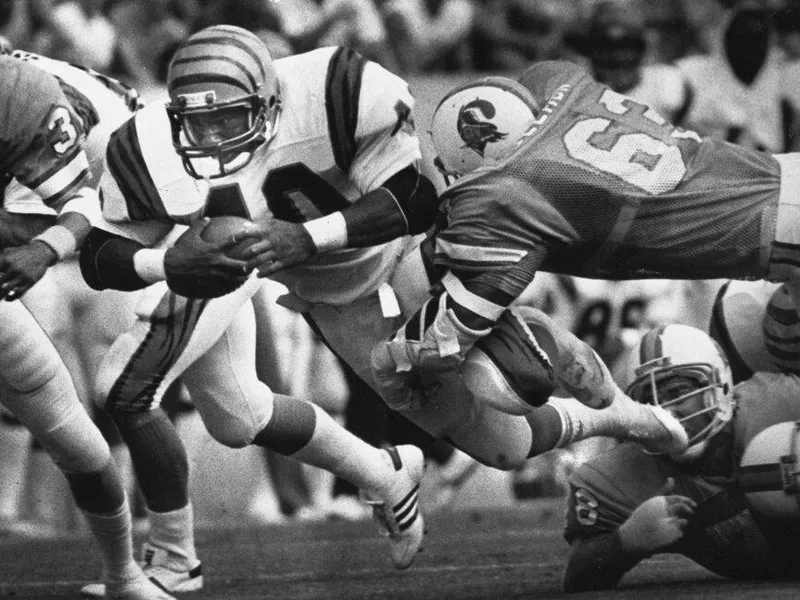 Buccaneers defenders Lee Roy Selmon and Jeff Davis tackle Bengals running back Charles Alexander