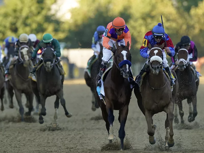 Horses racing in the Preakness Stakes at Pimlico Race Course