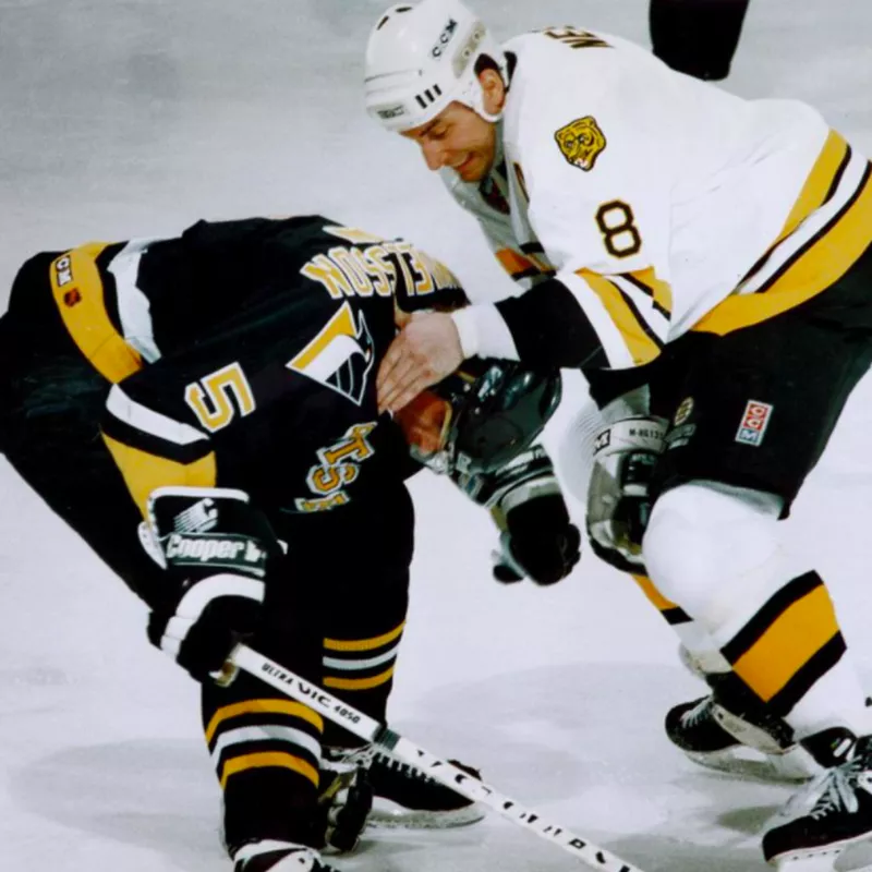 Ulf Samuelsson and Cam Neely fighting