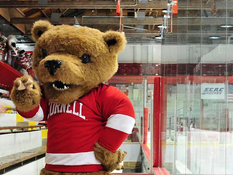 Cornell Big Red