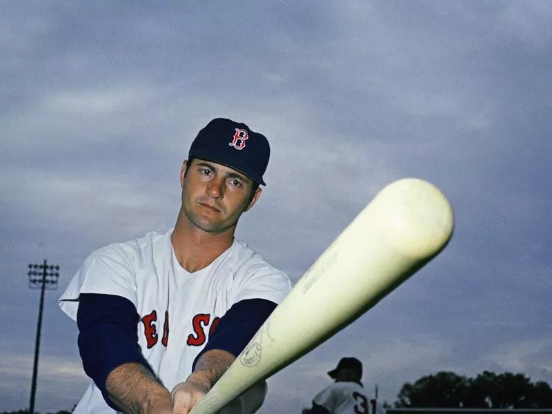 Carl Yastrzemski