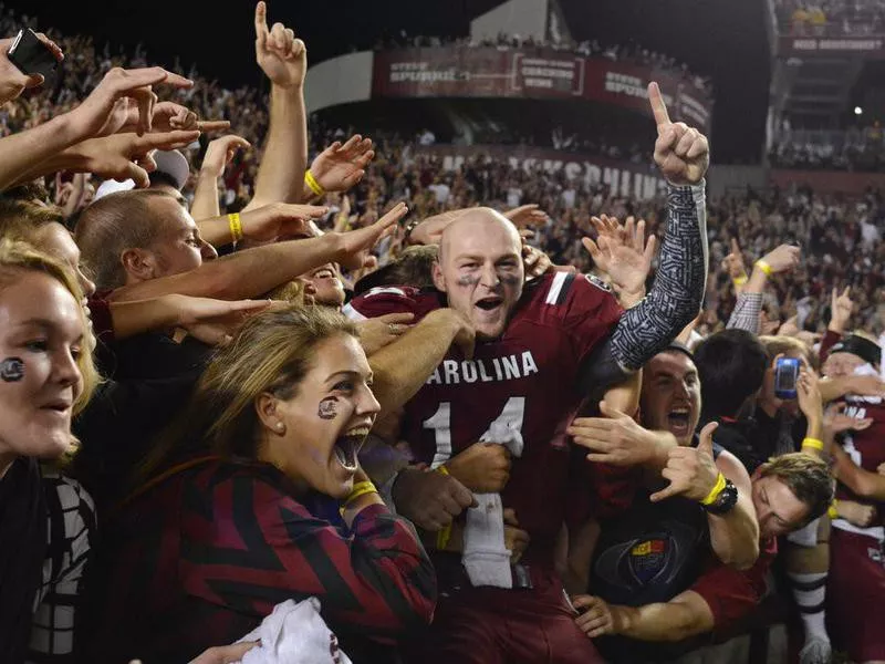 Williams-Brice Stadium