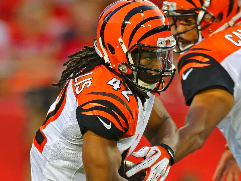 Cincinnati Bengals BenJarvus running backGreen-Ellis