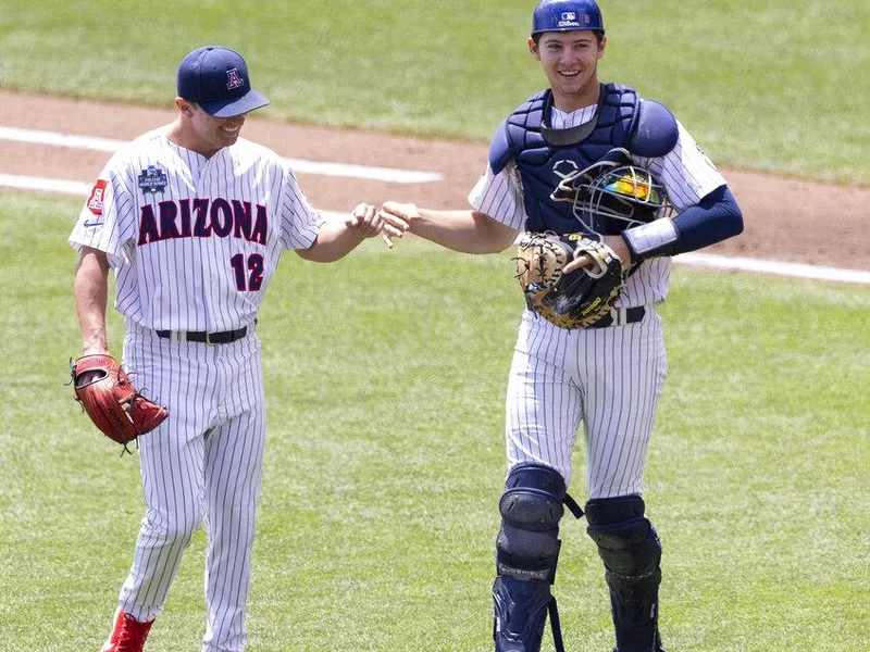 Arizona catcher Daniel Susac