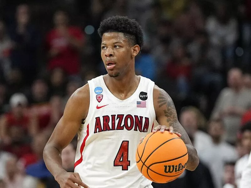 Arizona Guard Dalen Terry