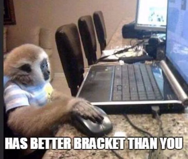 Monkey on a computer meme