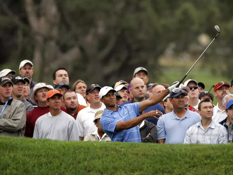 Tiger woods watching shot