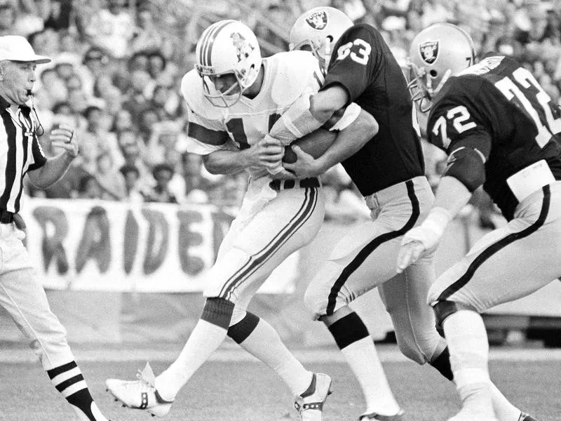 Ted Hendricks