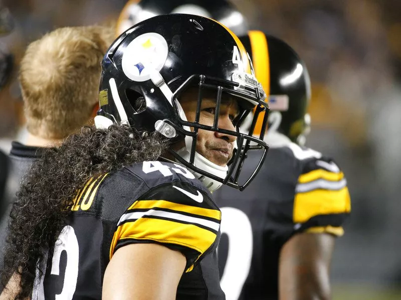 Troy Polamalu