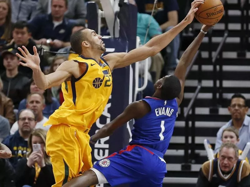 Rudy Gobert