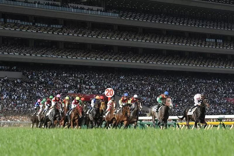 Tokyo Racecourse