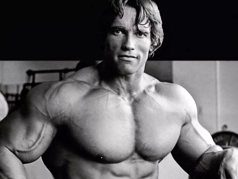 Arnold Schwarzenegger