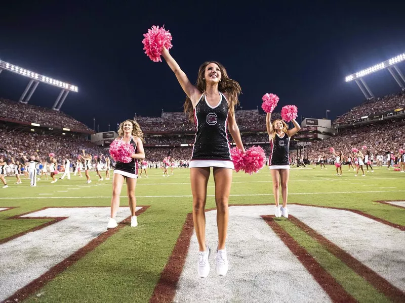 Williams-Brice Stadium