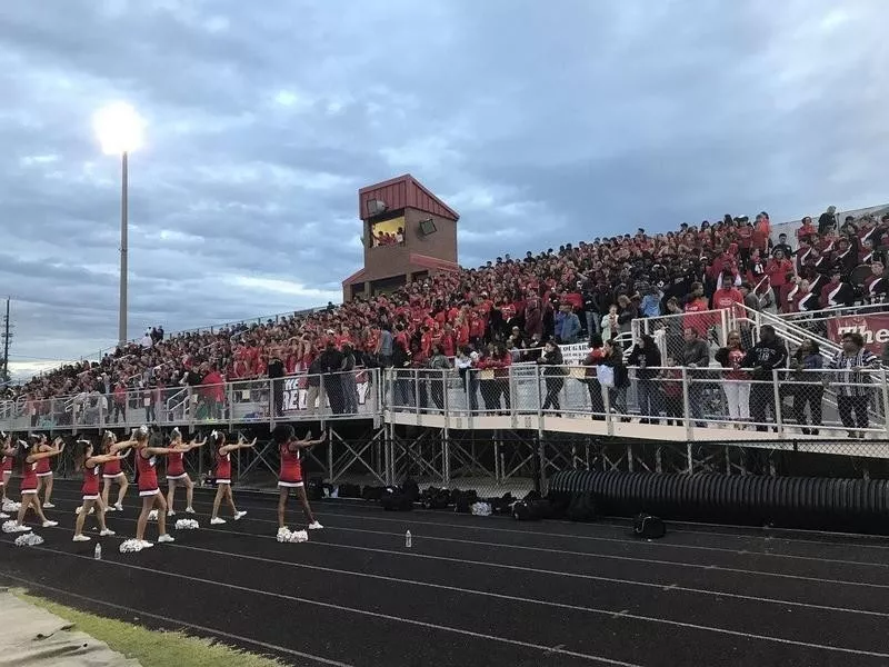 The Cougar Dome