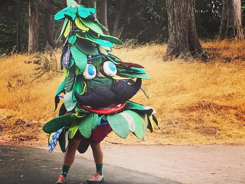 Stanford Tree