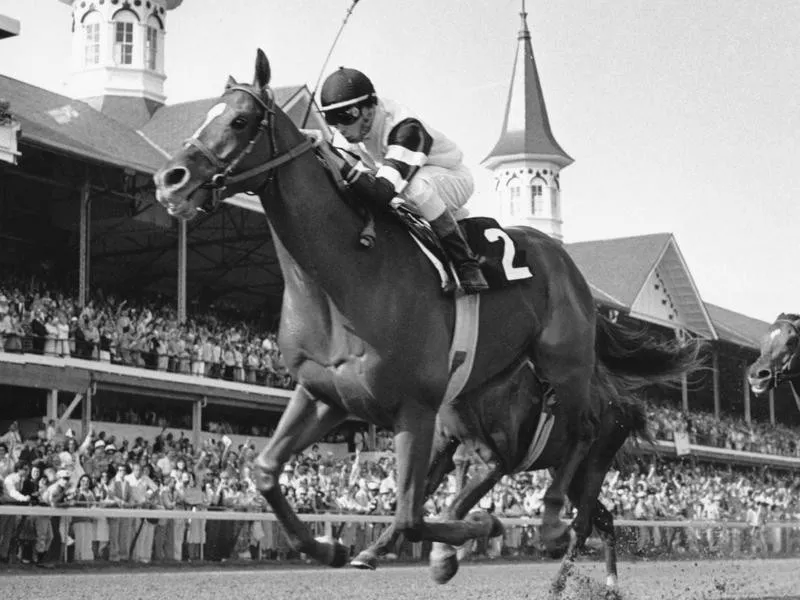 Steve Cauthen