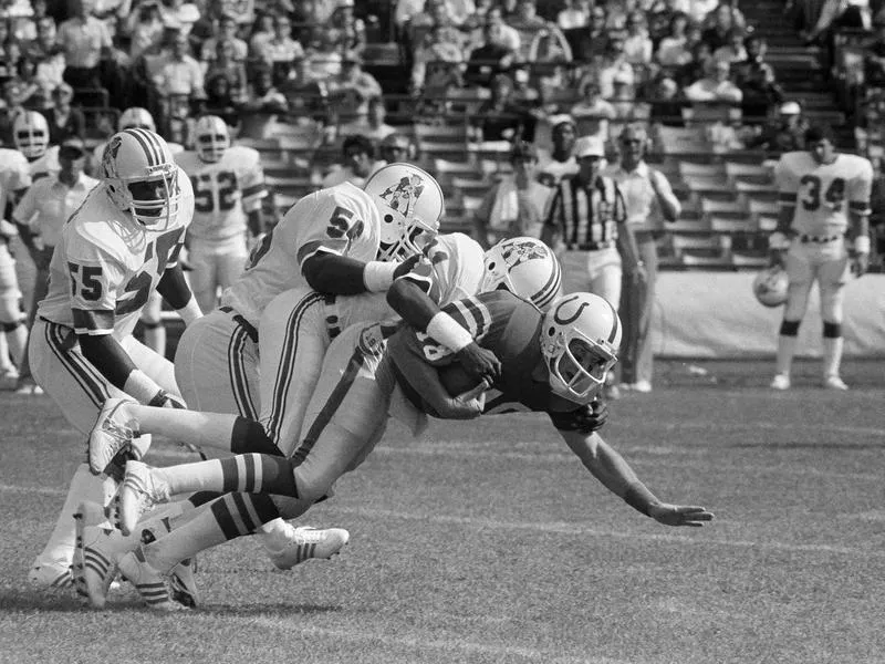 Mike Pagel, Andre Tippett, Clayton Weishuhn