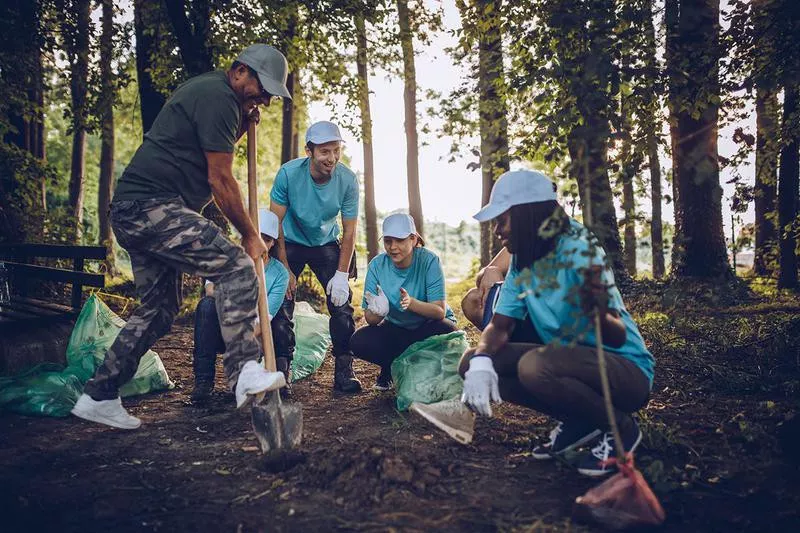 Planting Trees