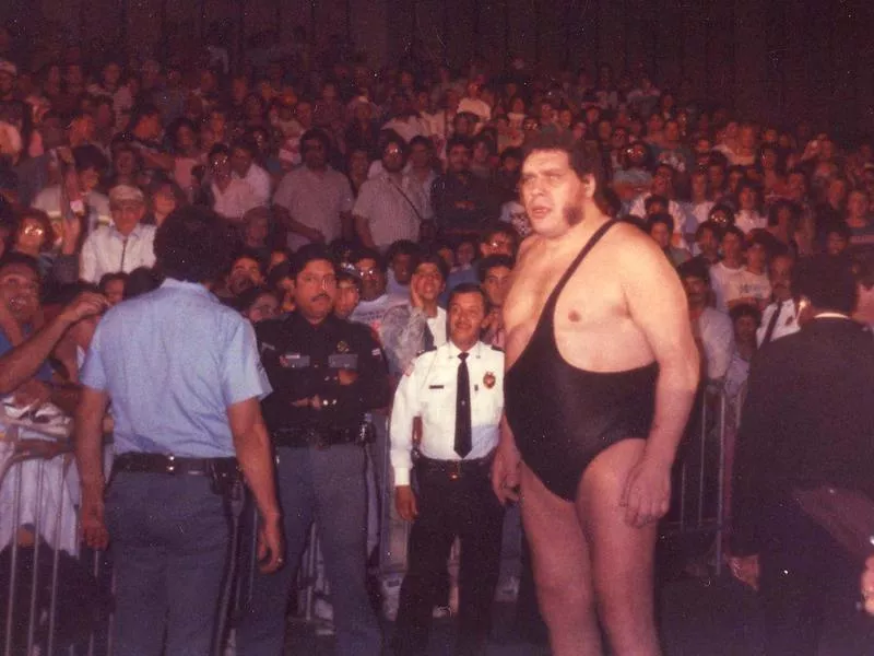 Andre the Giant