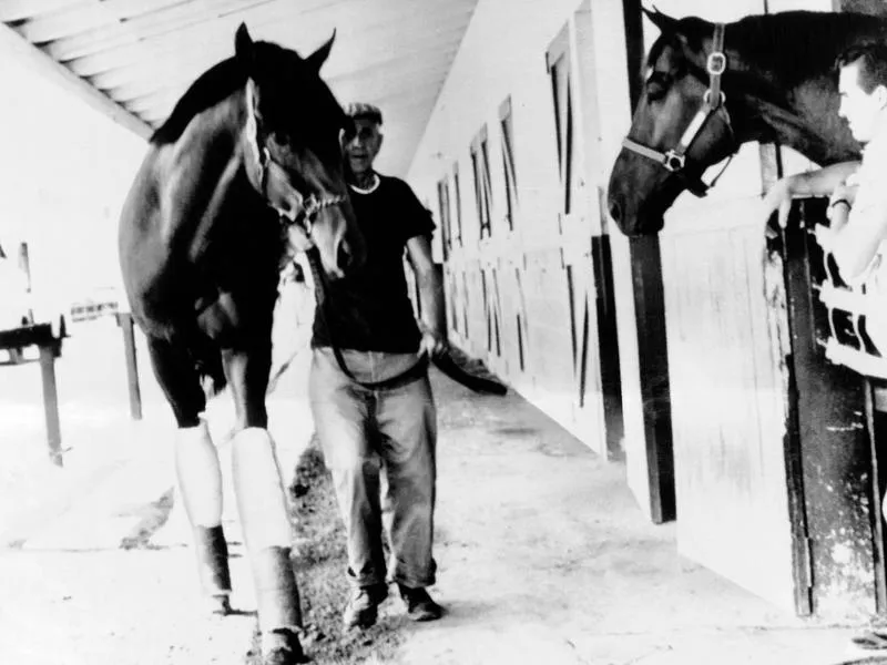 Dr. Fager