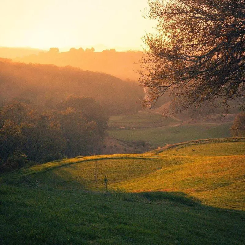 Chicago Golf Club at sunset