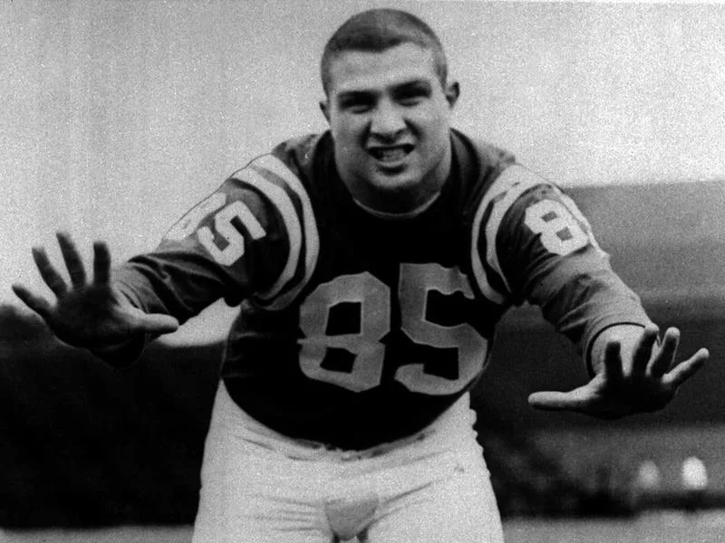 Nick Buoniconti