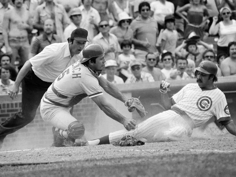 Johnny Bench