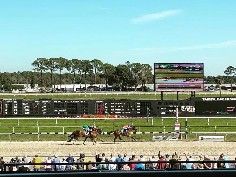 Tampa Bay Downs