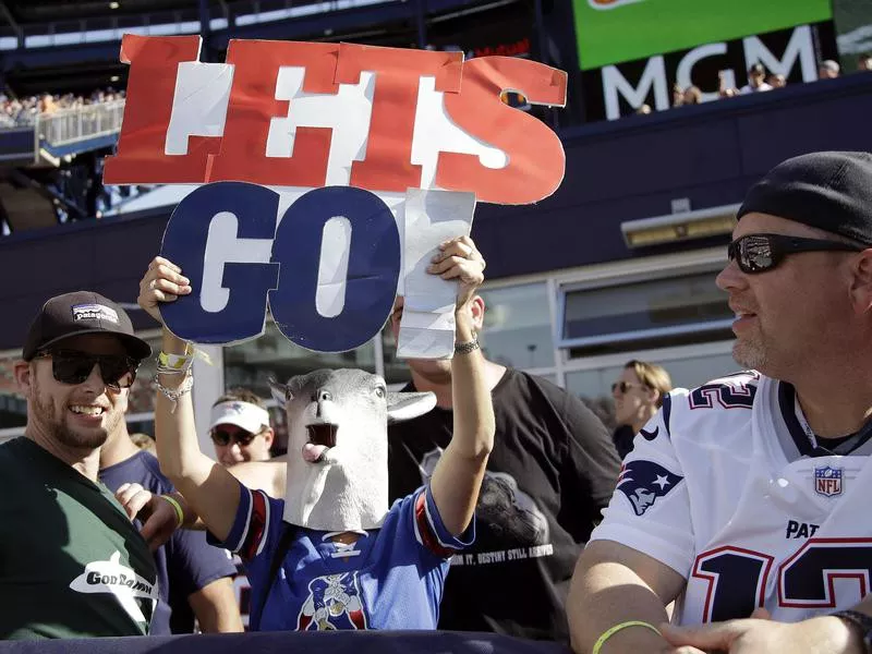 New England Patriots fan