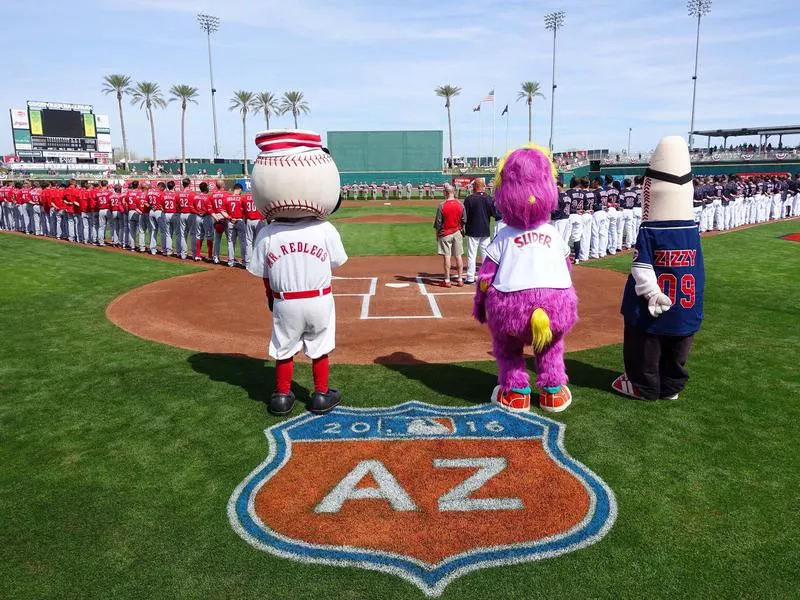 Baseball Phrases: Cactus League